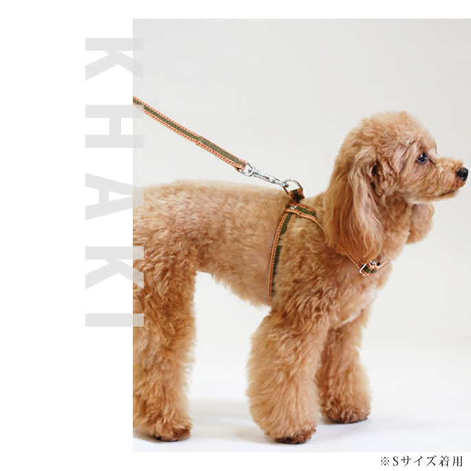 �����淿���ѡ�ASHU��D�����դ� ���饤��W�����󥰥꡼�� 2Ƭ���� ���å�