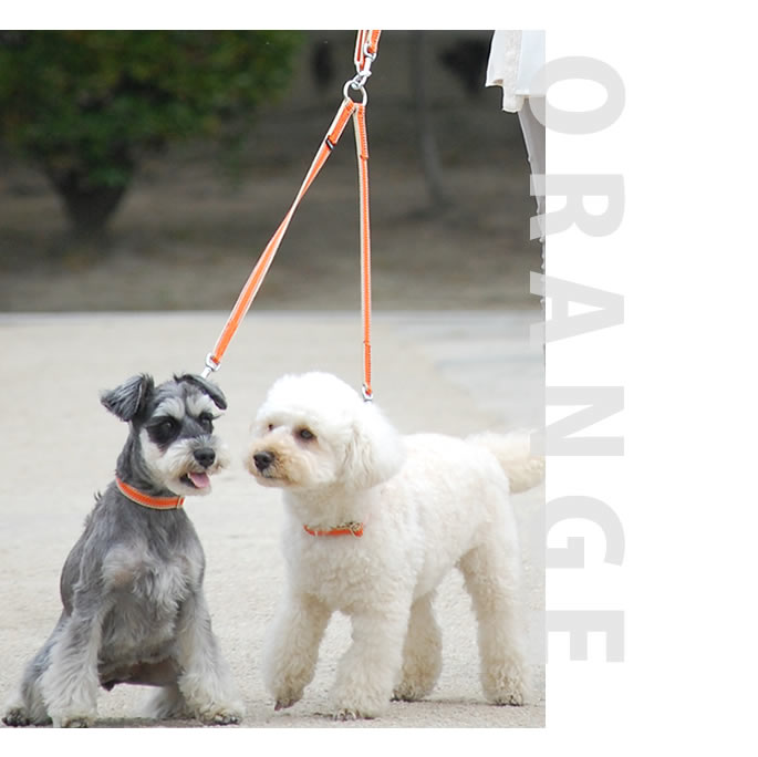 �����淿���ѡ�ASHU��D�����դ� ���饤��W�����󥰥꡼�� 2Ƭ���� ���å�