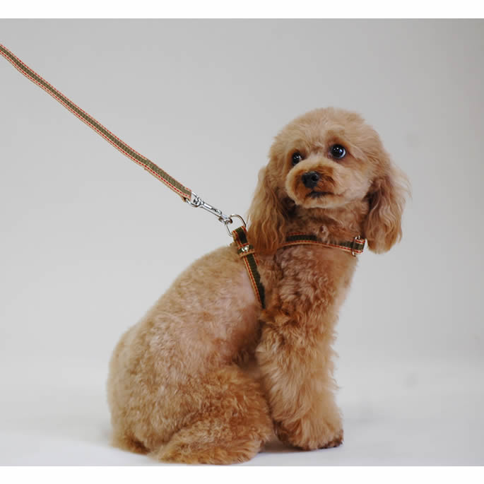 �����淿���ѡ�ASHU��D�����դ� ���饤��W�����󥰥꡼�� 2Ƭ���� ���å�