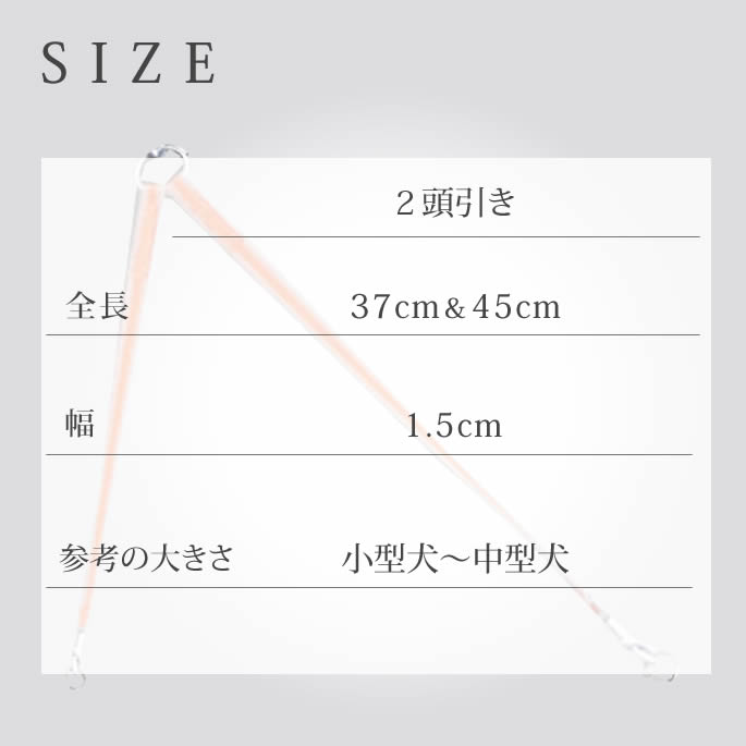 �����淿���ѡ�ASHU��D�����դ� ���饤��W�����󥰥꡼�� 2Ƭ���� ���å�