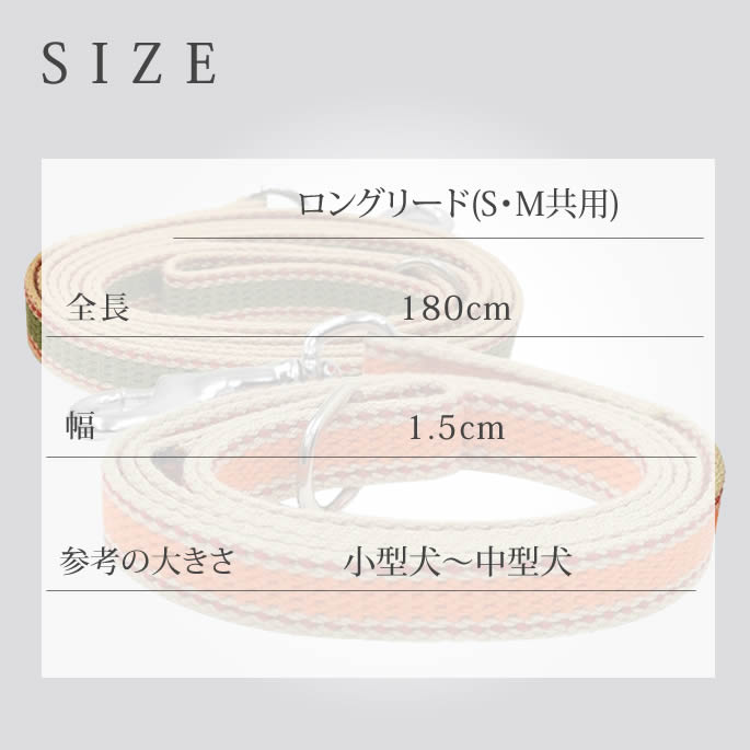 �����淿���ѡ�ASHU��D�����դ� ���饤��W�����󥰥꡼�� 2Ƭ���� ���å�