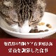 ǭ�ѿ�����ˡ�����ϥåԡ�����å� ���󥷥ƥ��֡å������åȥˡ���(��¡����) 300g/1.3kg/4kg ����åȥա���