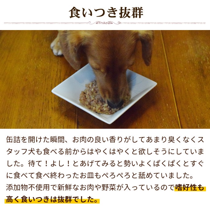 ƥ饫˥쥤ե꡼Ƶȥѥκޥ&֥å 200g 1/6/12