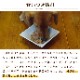 ƥ饫˥쥤ե꡼Ƶȥѥκޥ&֥å 200g 1/6/12