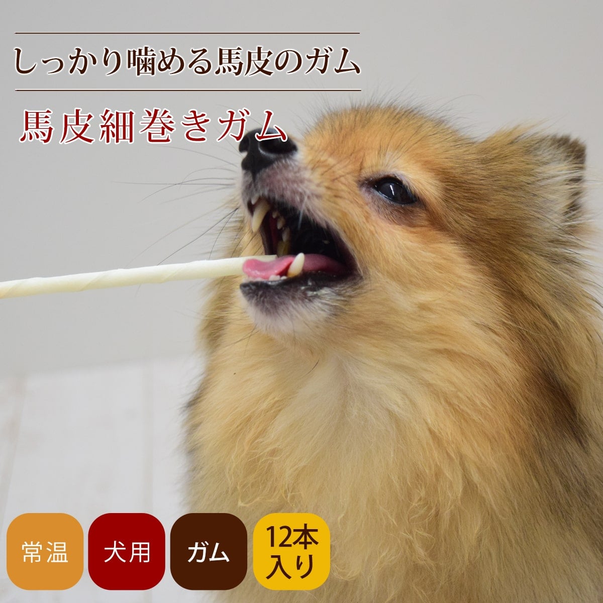 ���䡡�����ѥǥ󥿥륬�� ����ٴ�������