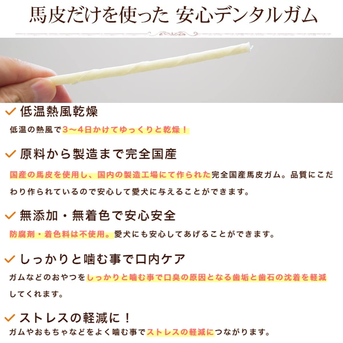 ���䡡�����ѥǥ󥿥륬�� ����ٴ�������