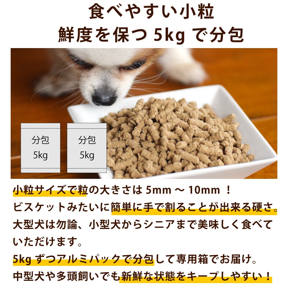 ۥꥹƥåå ۡ 10kg (5kg2)