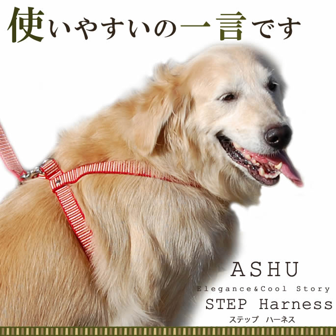大型犬用　首輪・リードセットで★ASHBURY ★ゴールデンレトリバー 大型犬用 首輪・リードセットで☆ASHBURY ☆ゴールデン