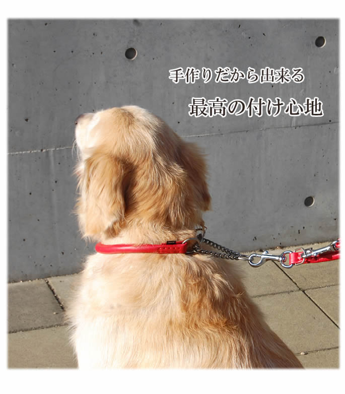 中型犬用ハーフチョーク Ashu ソフトレザー ハーフチョークｌ リードm ドッグフードの通販 帝塚山ハウンドカム