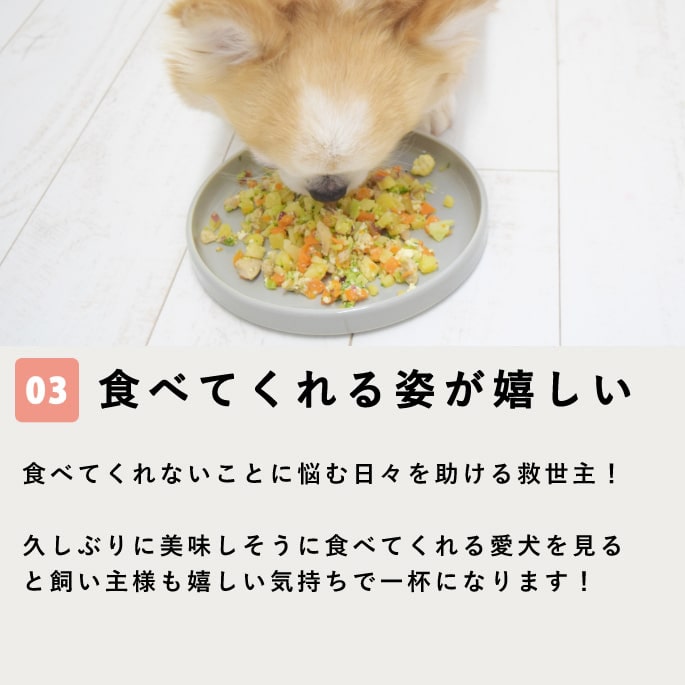 馬肉と野菜の甘酒おかゆ