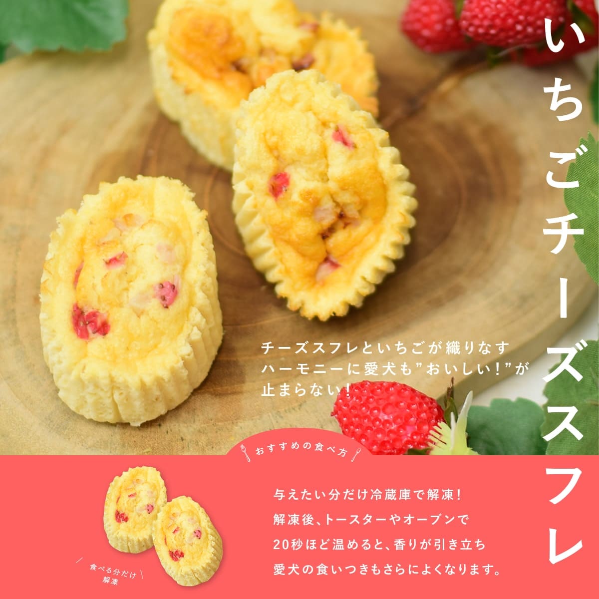 �ڽյ������ �����ѥ������� �����������륱�����Ȥ��������ե�������������ĥ��å� �ڥϥ���ɥ��࿩Ʋ�ۡ������ء�