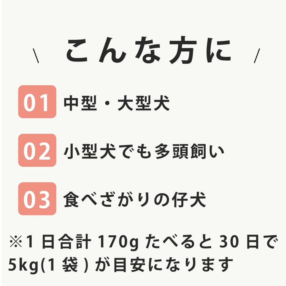 ۥꥹƥåå եå(ŷܤε) 10kg (5kg2)