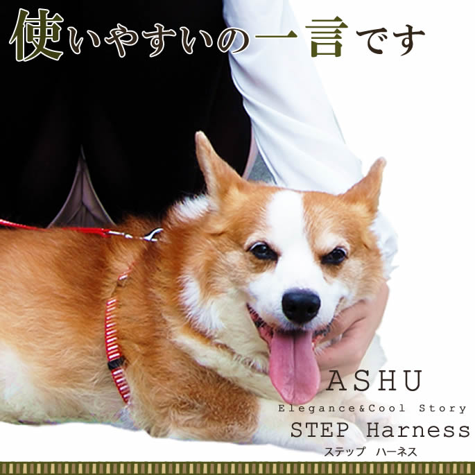 ���ѥϡ��ͥ���ASHU��STEP�����ƥåס��ϡ��ͥ���M������