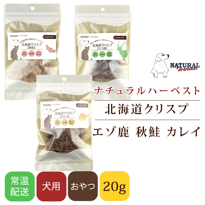 �ʥ�����ϡ��٥��� ����ġå��㡼���� �̳�ƻ���ꥹ�סʥ����������������쥤�ˡ�