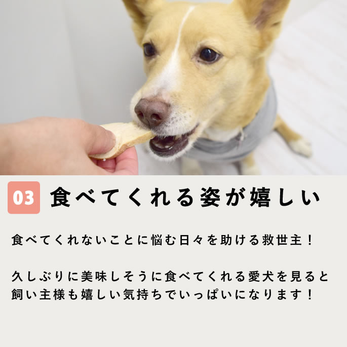 ��¡��ͥ����7���ܡ����󤪤�ĥ��åȡڥϥ���ɥ��࿩Ʋ��