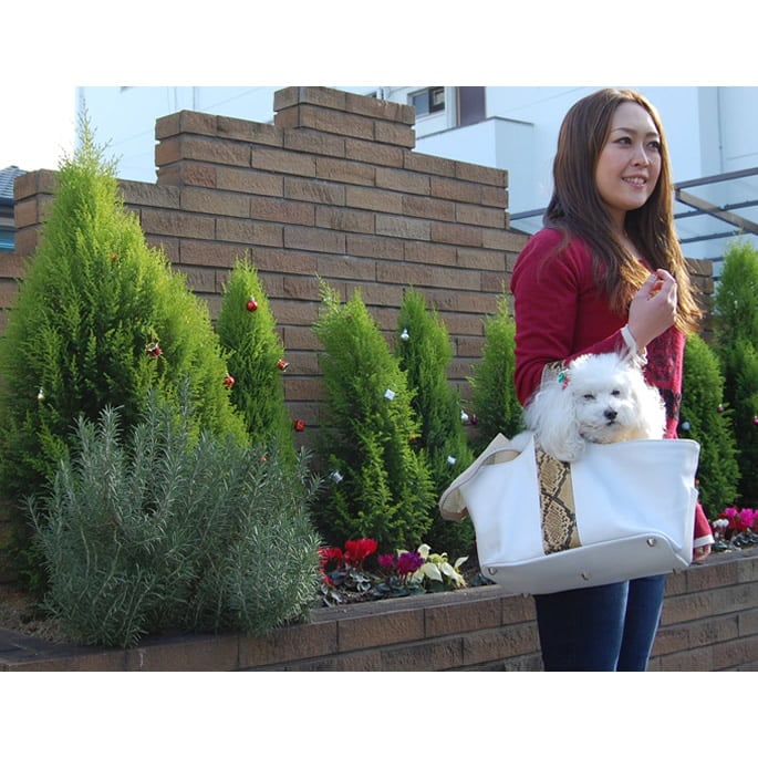 ���ѥ���꡼�Хå��ã��ӣȣա����Ф����쥶������꡼��Ķ���������������ޤ�