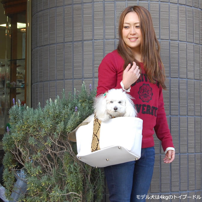 ���ѥ���꡼�Хå��ã��ӣȣա����Ф����쥶������꡼��Ķ���������������ޤ�