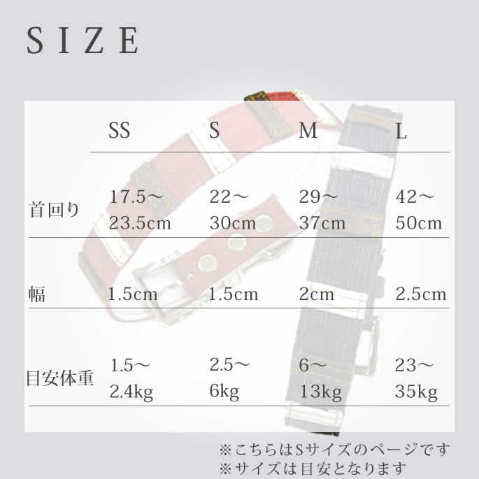 �������Ѽ��ء�ASHU���ǥ˥�쥶���롼�ס����顼����������S