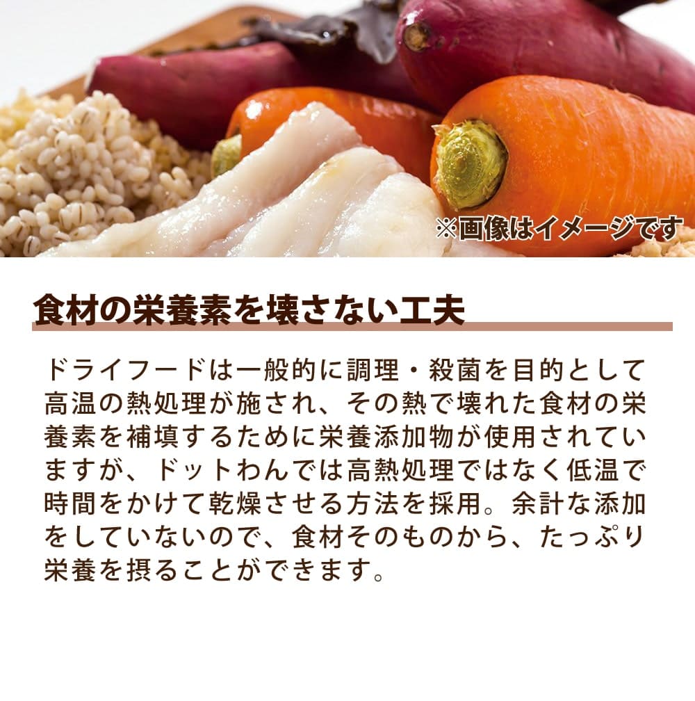 ドットわん魚ごはん 500g×3袋 魚ごはん500g｜16種類の国産天然食材使用｜ドットわん公式
