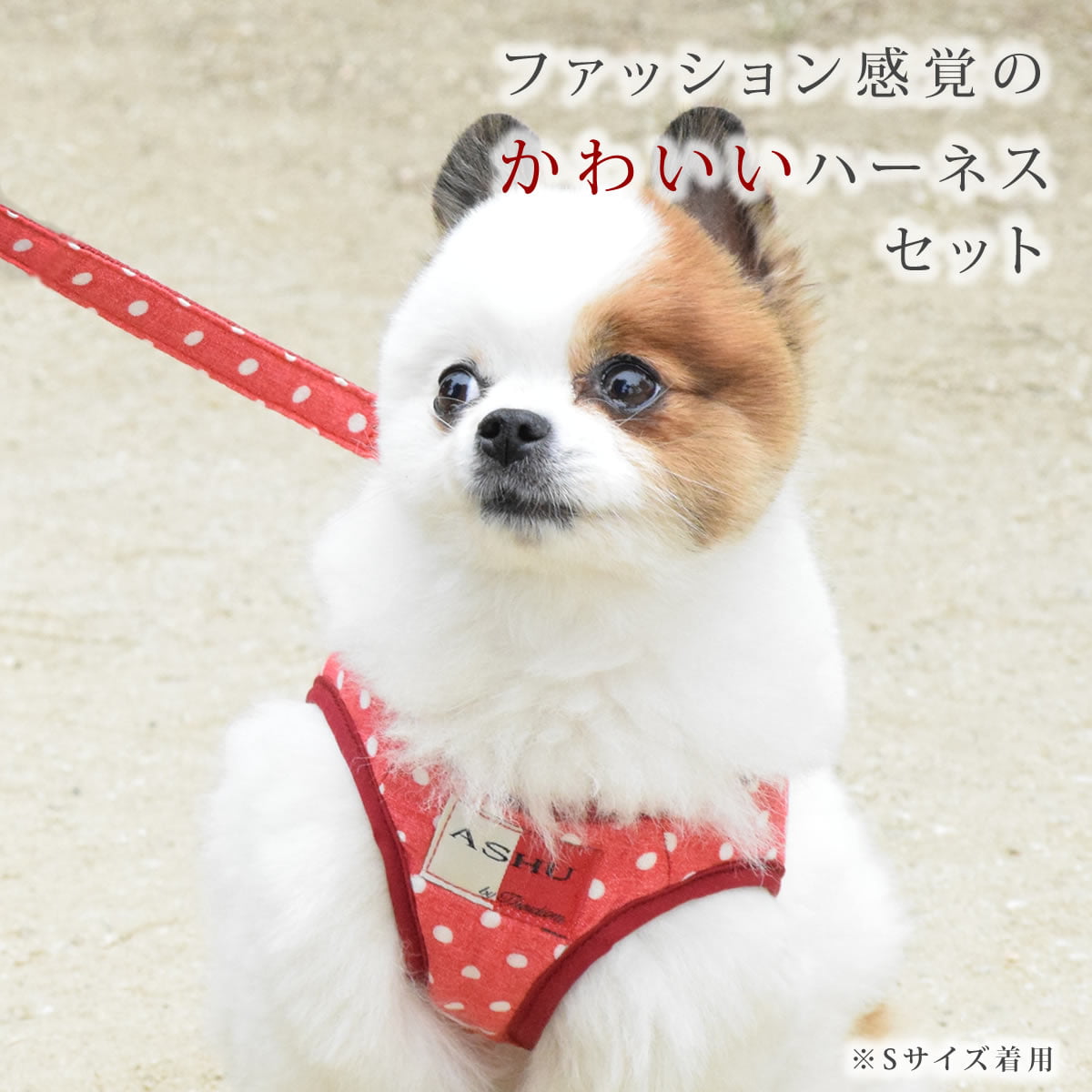 ASHUウェアハーネス水玉＆リードセット Mサイズ(小型犬用)