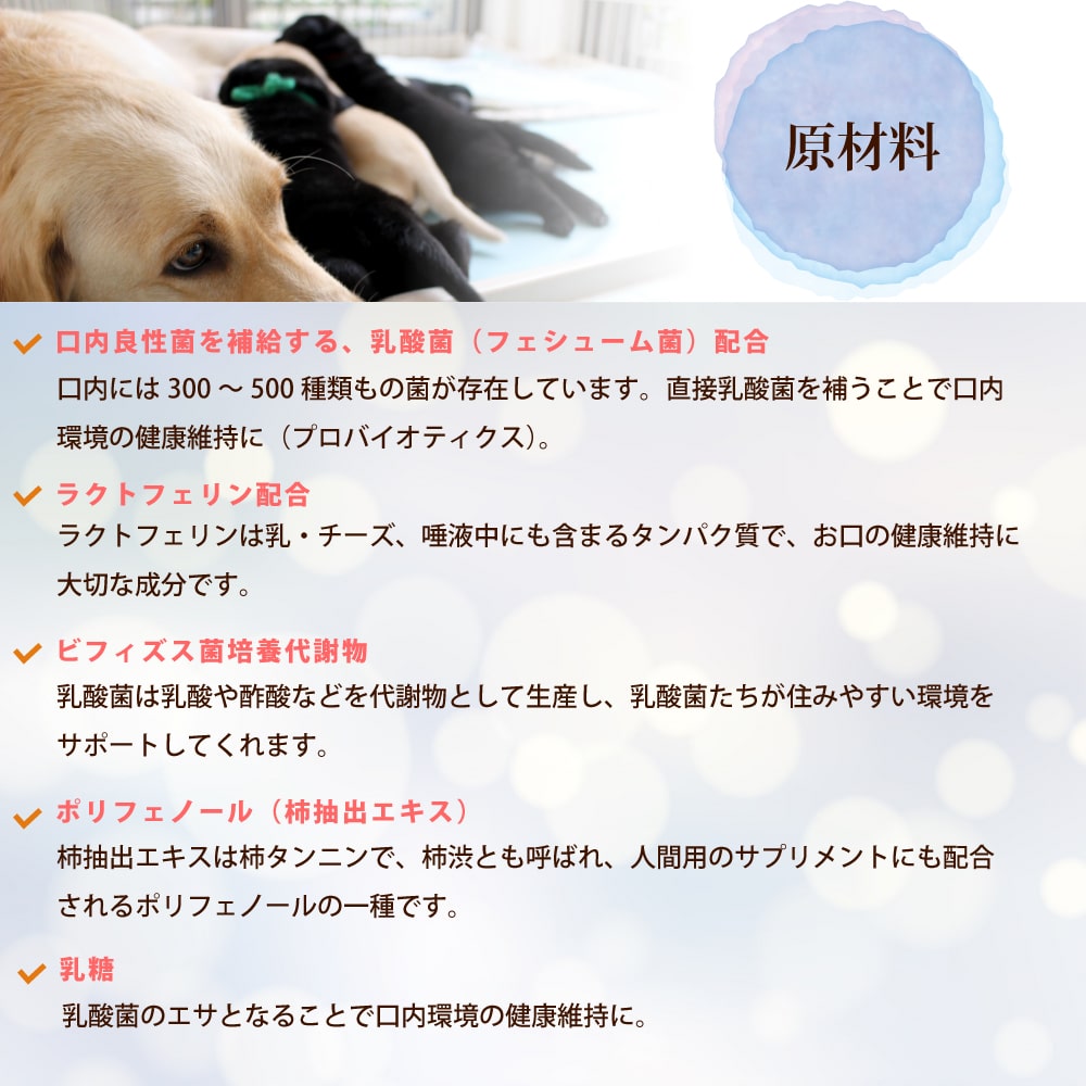 お口ラクラク 歯石クリーンpro 犬 口臭サプリメント ラクトフェリン ドッグフードの通販 帝塚山ハウンドカム