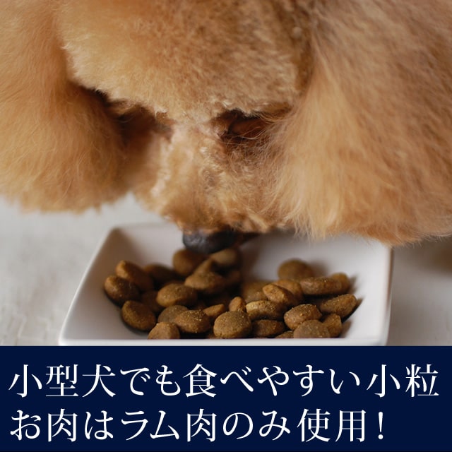 �ȥ饤�ץɥ饤���ɥå��ա��ɡ����꡼����ȥ饤�� SAP ��γ������P��2.72��g�����������Ǥ��ޤ���