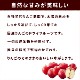���Ѥ���ġä�����Ȥμ��� ��󤴥������� ̵ź�ä���ġ� 5�ޥ��å� ������á�a0093��