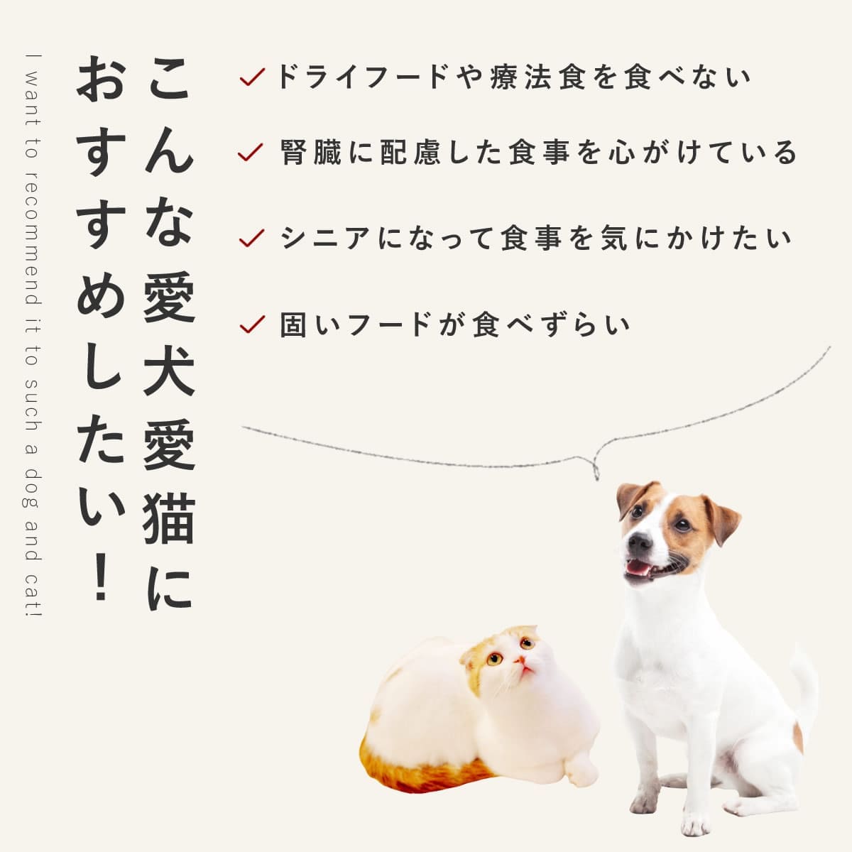 ������ ���ꤴ�Ϥ� ��Ʀ���ܤ���ηܤ��ܤ���6��/12��/24��/���åȡڥѥå�����������ñ�̤��ѹ��ˤʤ�ޤ����� �������ء� �ڥϥ���ɥ��࿩Ʋ��