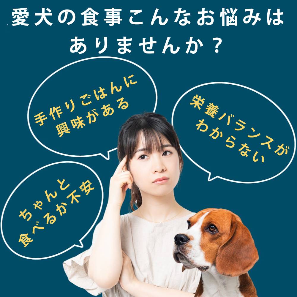 �����ѡ����ꤴ�Ϥ󥹥����ȥ��åȡ������ˡ�����Ǥ��Ϥ���