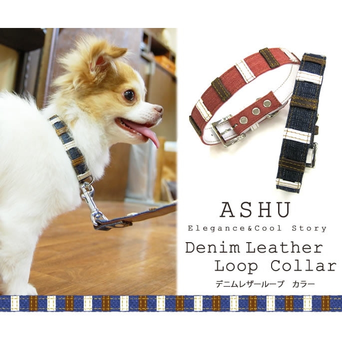 Ķ�������Ѽ��ء�ASHU���ǥ˥�쥶���롼�ס����顼����������SS