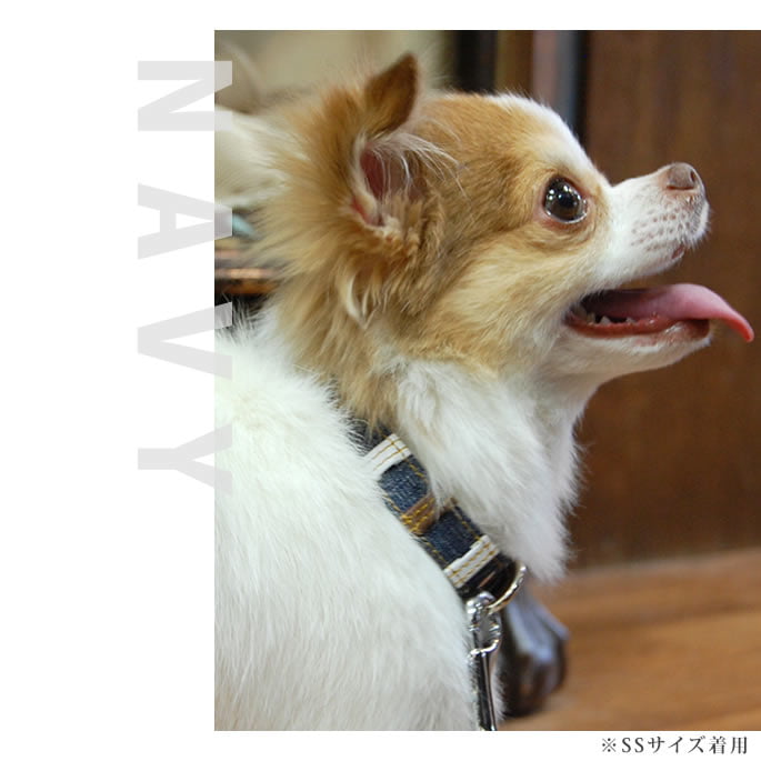 Ķ�������Ѽ��ء�ASHU���ǥ˥�쥶���롼�ס����顼����������SS