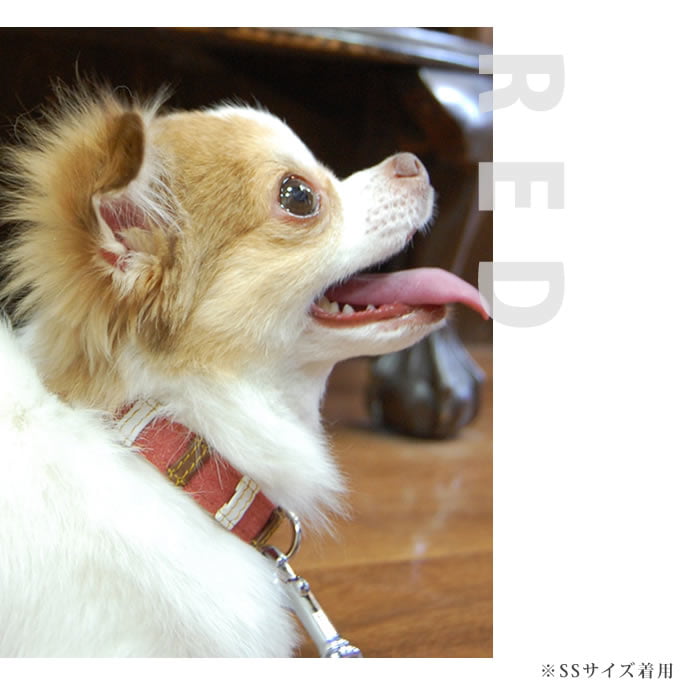 Ķ�������Ѽ��ء�ASHU���ǥ˥�쥶���롼�ס����顼����������SS