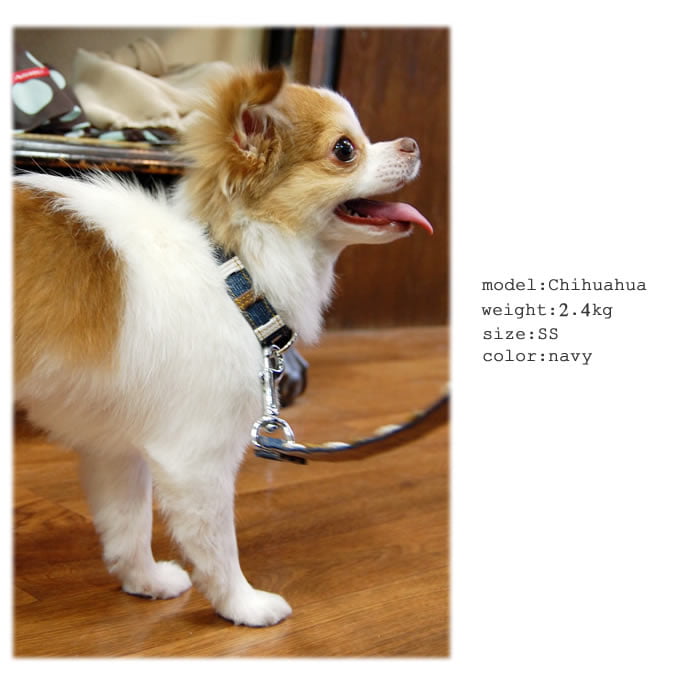 Ķ�������Ѽ��ء�ASHU���ǥ˥�쥶���롼�ס����顼����������SS