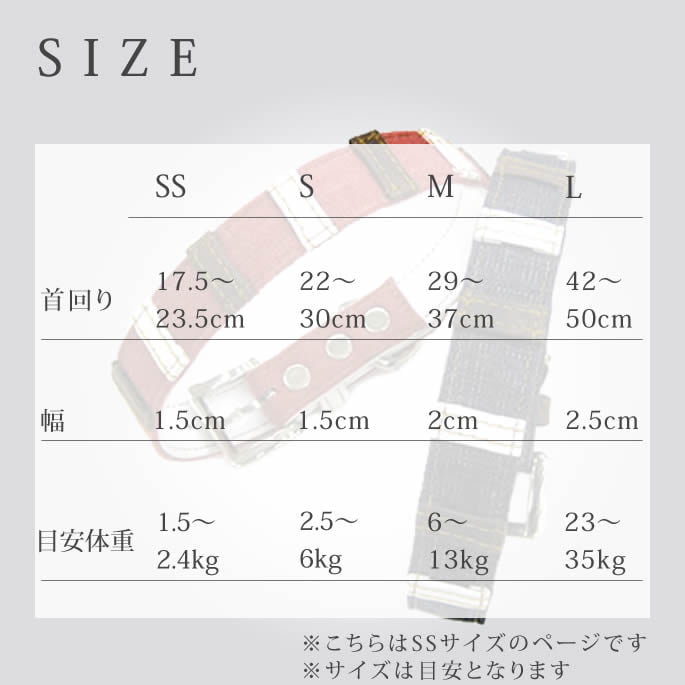 Ķ�������Ѽ��ء�ASHU���ǥ˥�쥶���롼�ס����顼����������SS