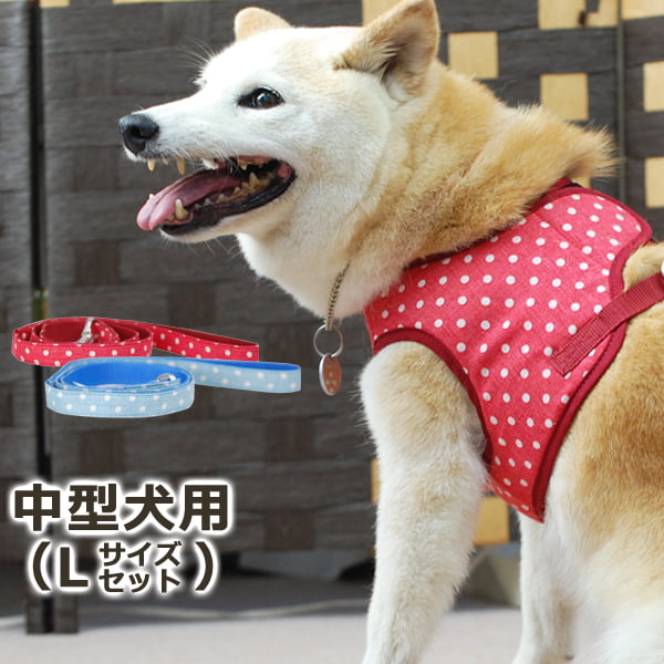 ASHU�������ϡ��ͥ���̡��꡼�ɥ��å� L������(�淿����)