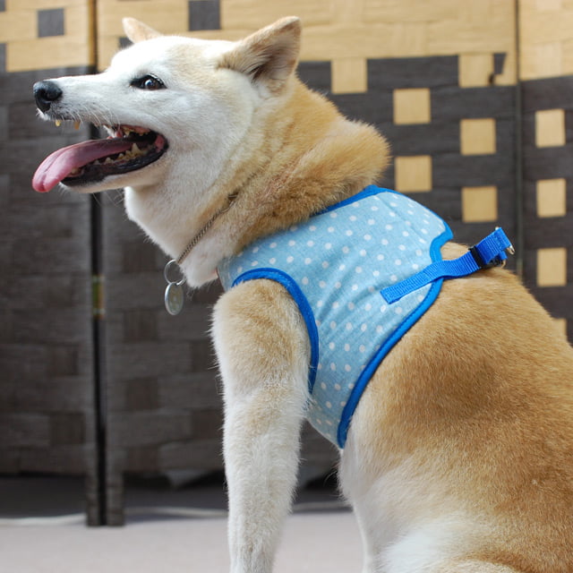 ASHU�������ϡ��ͥ���̡��꡼�ɥ��å� L������(�淿����)