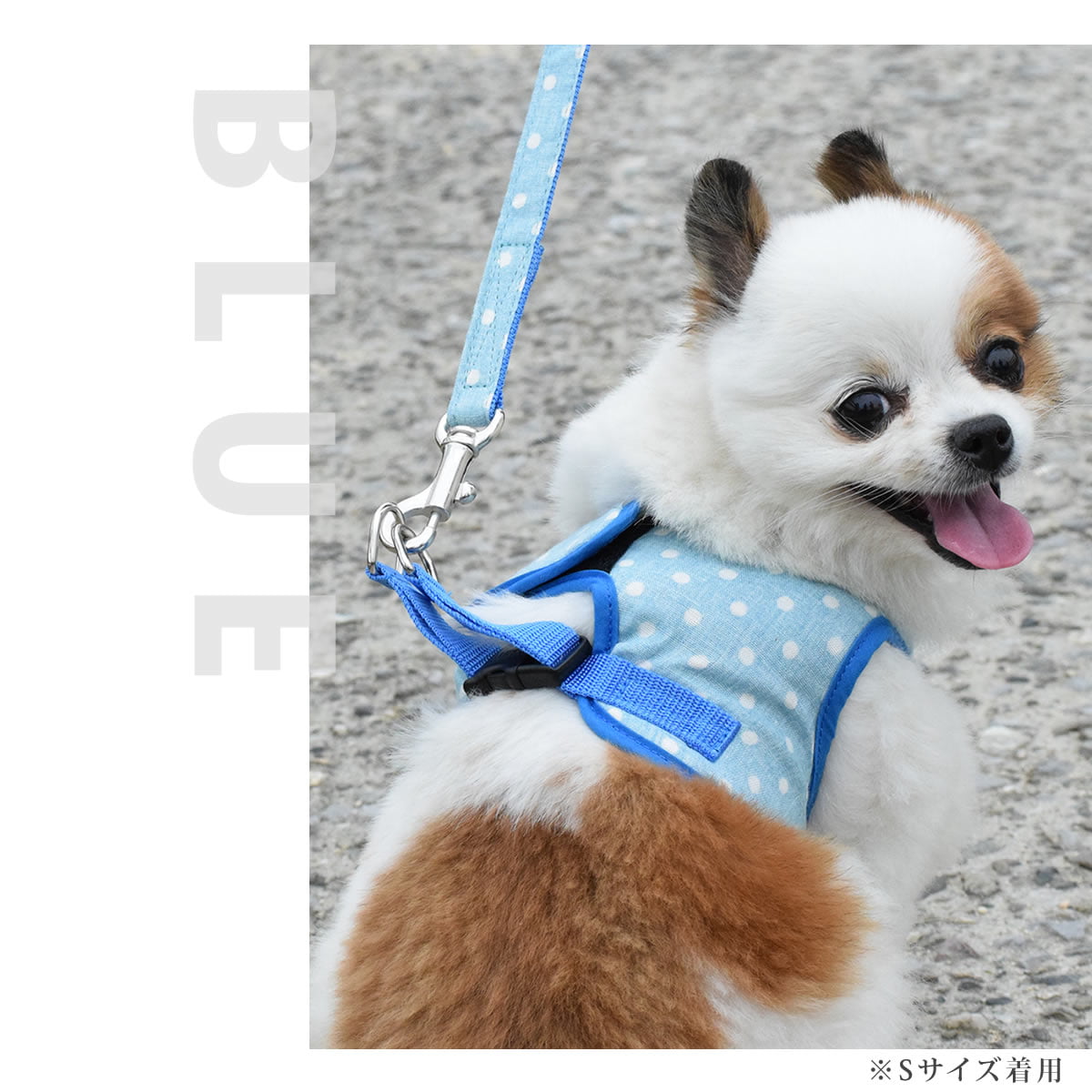 ASHU�������ϡ��ͥ���̡��꡼�ɥ��å� L������(�淿����)