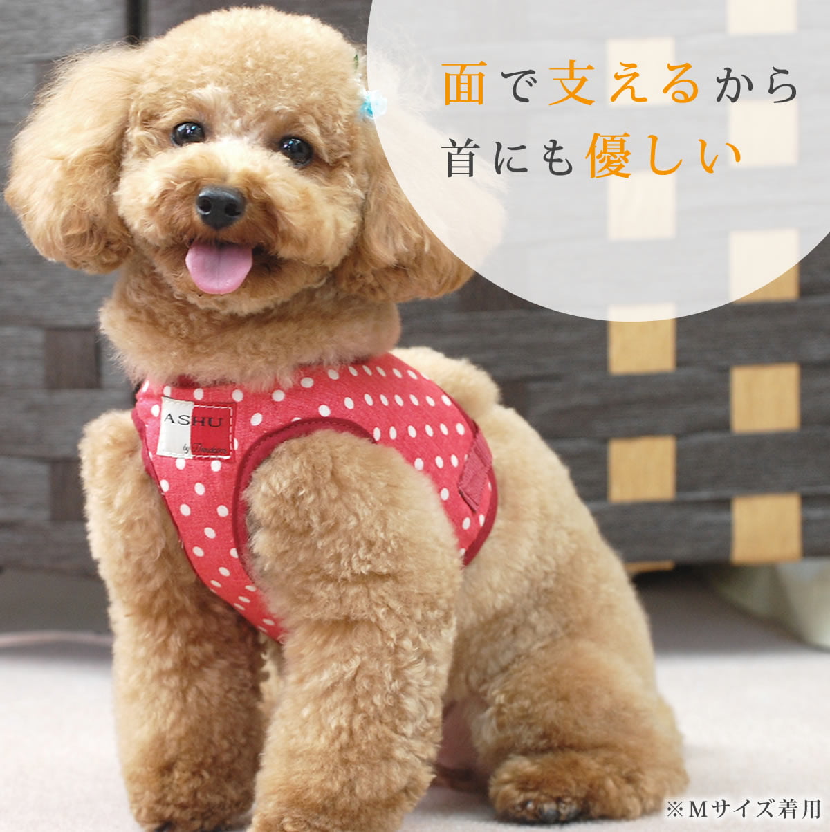 ASHU�������ϡ��ͥ���̡��꡼�ɥ��å� L������(�淿����)