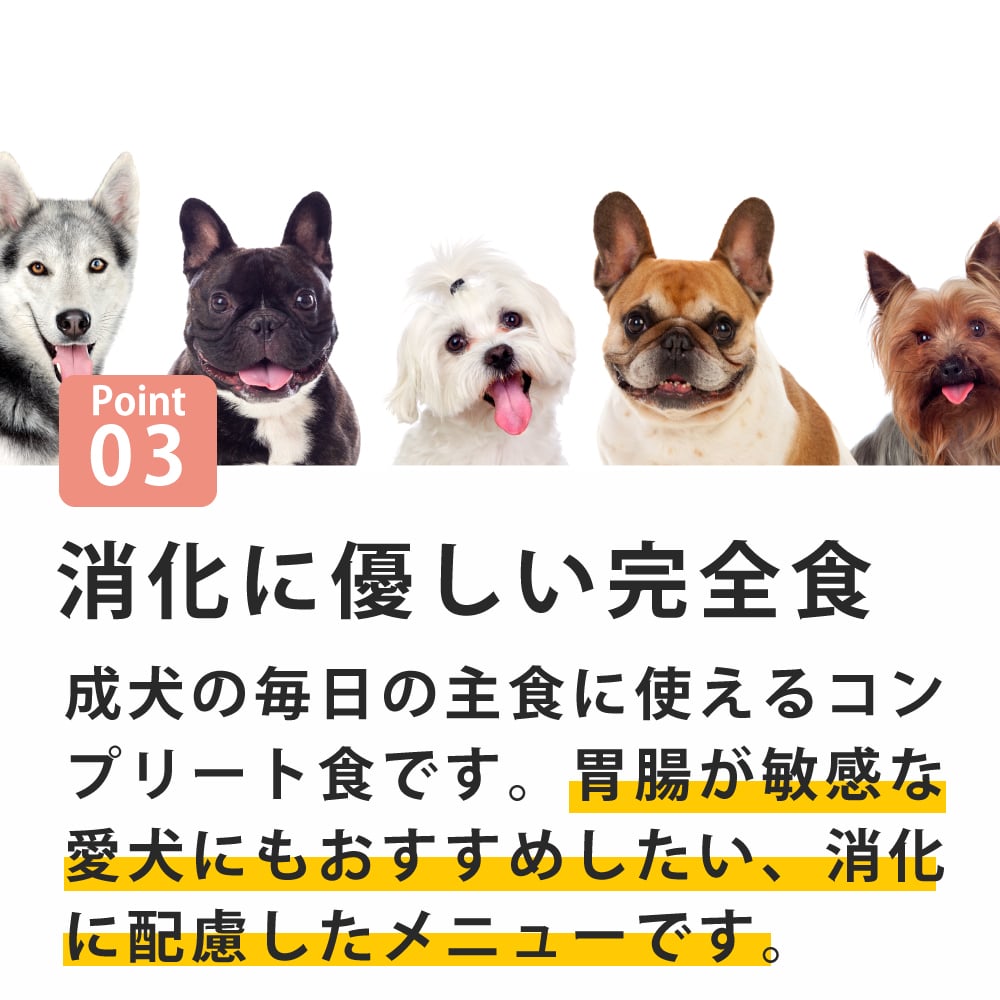 ƥ饫˥Flower Menu ե˥塼 ꡼֥å &饤 ߥ꡼ԥ塼źơ 400gѥץ꡼ȿ