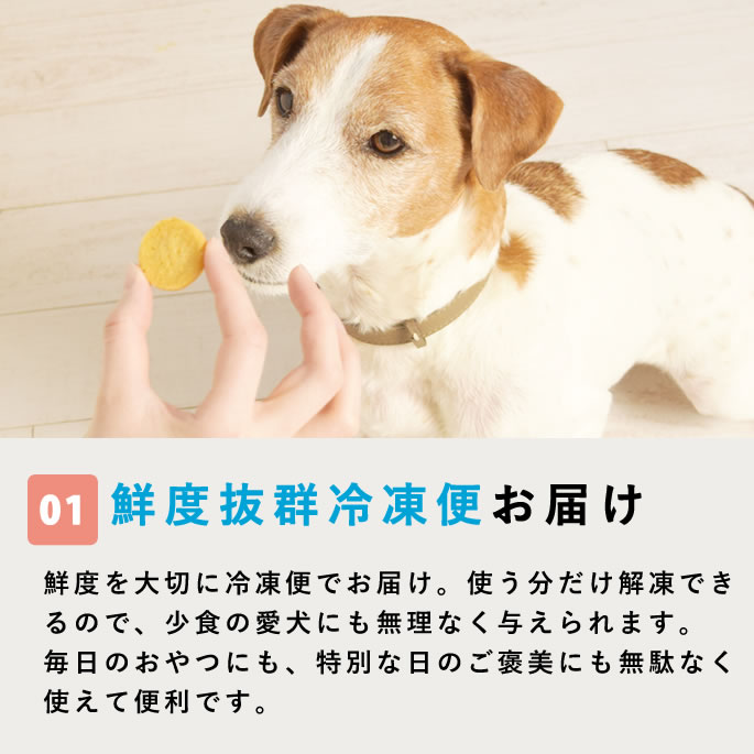 �����Ѥ���� ����äȤ��ĳڤ���륹�����ĥ��åȡڥϥ���ɥ��࿩Ʋ�ۡ������ء�