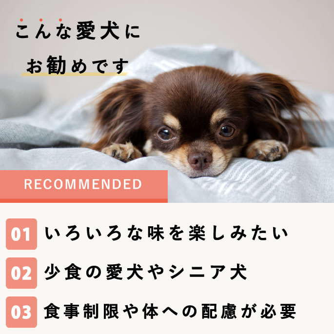 �����Ѥ���� ����äȤ��ĳڤ���륹�����ĥ��åȡڥϥ���ɥ��࿩Ʋ�ۡ������ء�