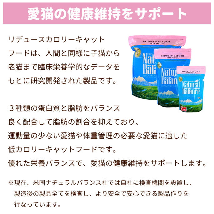 �ʥ�����Х�󥹡�ǭ�ѡ� ��ǥ塼�������꡼ ����åȥա��� 1kg