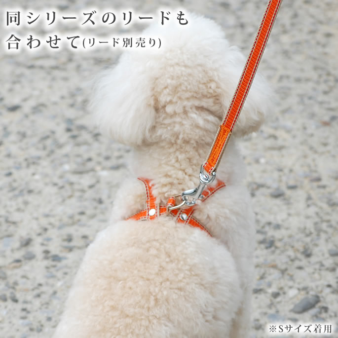 淿ѥϡͥASHU饤Wϡͥͥ