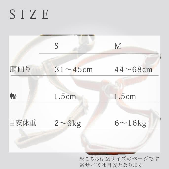 淿ѥϡͥASHU饤Wϡͥͥ