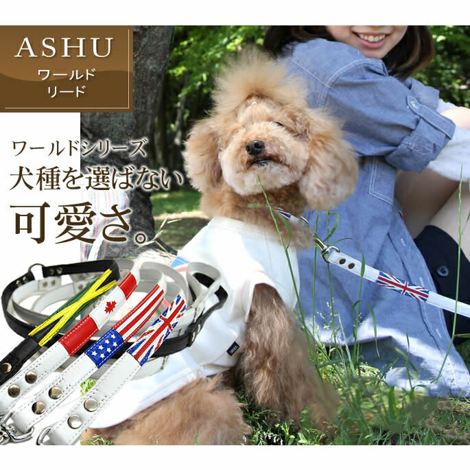 �������ѥ꡼�ɡ�ASHU�����ɡ��꡼�ɡ��ӥ��������淿���ޤ�