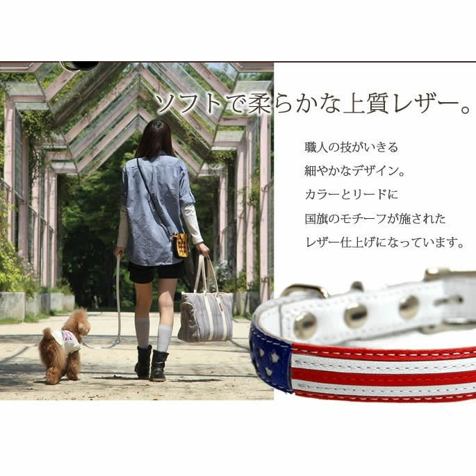 �������ѥ꡼�ɡ�ASHU�����ɡ��꡼�ɡ��ӥ��������淿���ޤ�