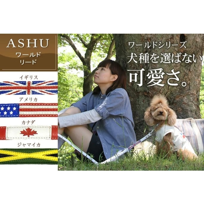 �������ѥ꡼�ɡ�ASHU�����ɡ��꡼�ɡ��ӥ��������淿���ޤ�