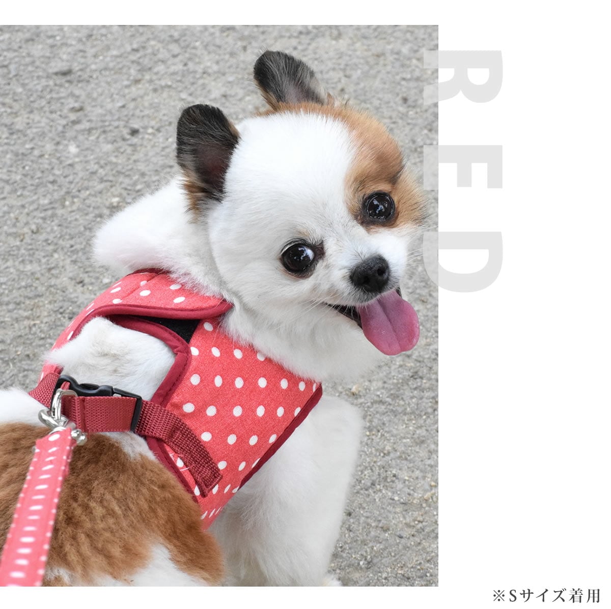 大型犬用ハーネス 赤と白の水玉模様 大型犬用ハーネス 赤と白の水玉模様