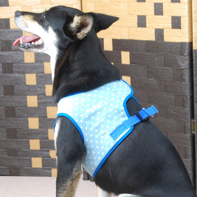 ASHUϡ̡ͥ꡼ɥå LL(淿)