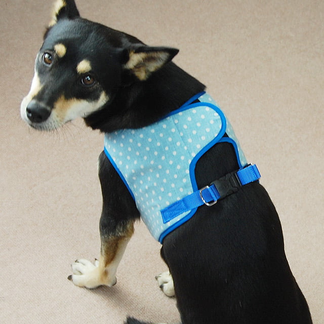 ASHUϡ̡ͥ꡼ɥå LL(淿)